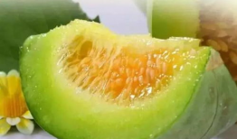 爆料吃瓜产品,吃瓜产品背后的秘密大曝光！