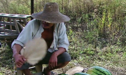 嘎子爆料吃瓜,娱乐圈吃瓜大揭秘，真相令人震惊！