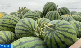 瓜瓜最新吃瓜爆料,揭秘娱乐圈惊天大瓜！