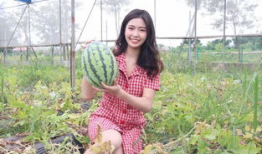 吃瓜福利爆料怎么进,轻松解锁参与通道