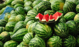 校园吃瓜爆料. com,揭秘校园热点事件背后的真相